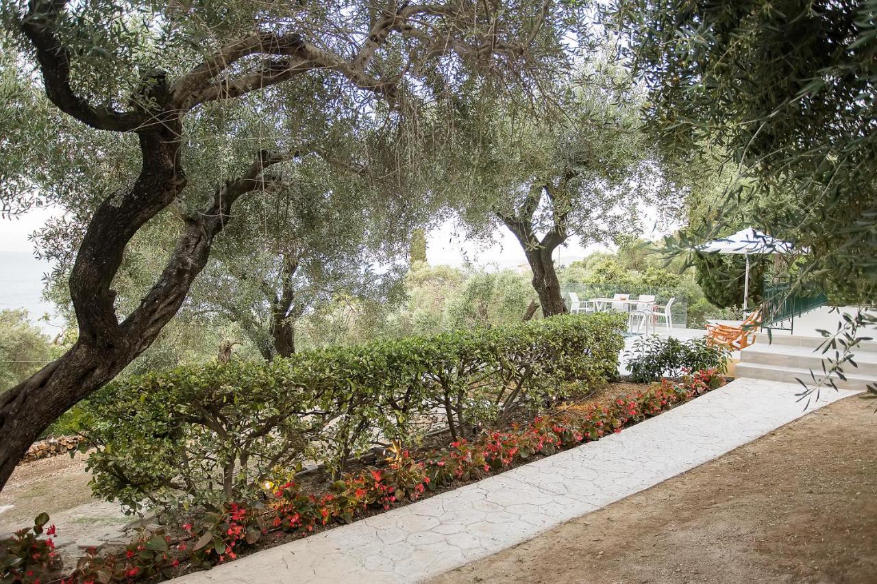 Villa Oliva E Mare Luxury *